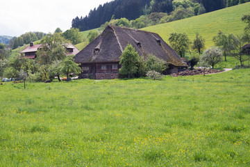 Fototapeta na wymiar Schwarzwaldbauernhof