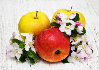 apples and apple tree blossoms