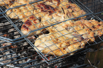 Preparation of kebabs on grill outdoor