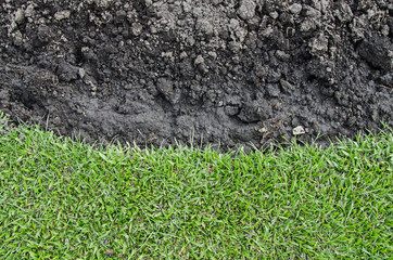 green grass agent black soil for background
