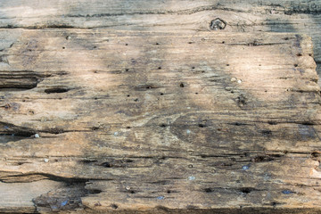 Naklejka premium wood