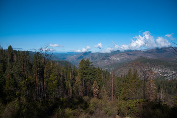 Naklejka na ściany i meble Yosemite Valley View