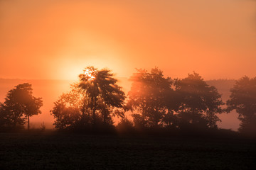 Fototapeta na wymiar spektakulärer Sonnenaufgang im Nebel