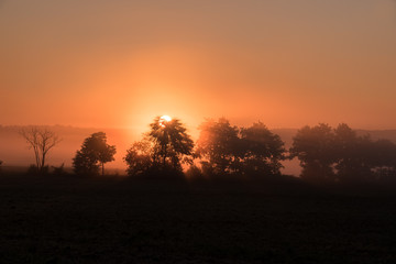 Fototapeta na wymiar Sonnenaufgang mit Bäumen im Nebel
