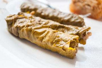 Stuffed Grape Leaves (Dolma). Cuisine of Turkish and Greece