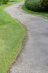 Fototapeta na wymiar Stone pathway in garden