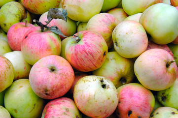 Background of green and red apples.