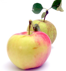 Apples on white background