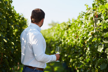 Man with a glass of white wine
