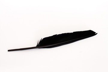 black feather above on white paper - studio shot