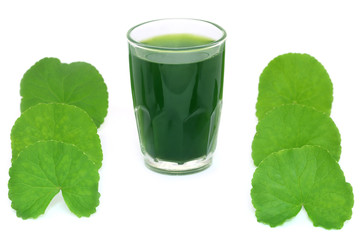 Medicinal thankuni leaves with extract