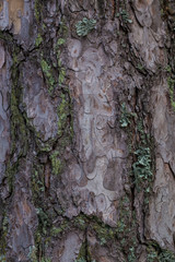 Dark stone background. 