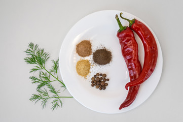 Two red chili peppers and ground pepper on white plate. Top view.