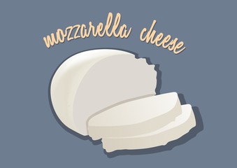Italian mozzarella cheese. Vector illustration