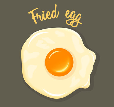 Vector Fried Egg breakfast illustration