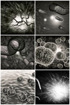 Bacteria Infection Collage