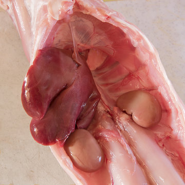 r&acirc;ble de lapin cru fermier avec foi et rognons
