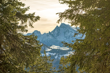 mountain peak through trees