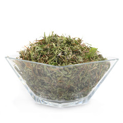 thyme