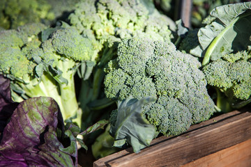 Broccoli offered at market stall
