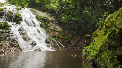 Fototapeta na wymiar Beautiful waterfall in tropical rainforest in Malaysia