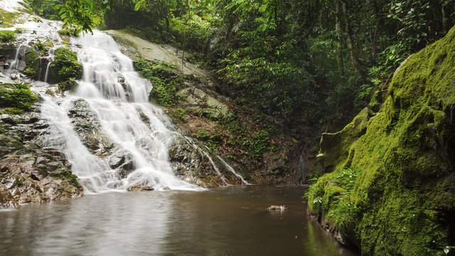 Fototapeta Beautiful waterfall in tropical rainforest in Malaysia