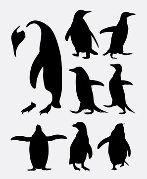 Penguin bird animal silhouettes. Good use for symbol, logo, web icon, mascot, or any design you want. Easy to use.