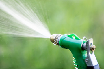 Watering plant in the garden,selective focus