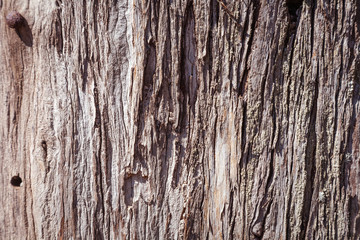 Obraz premium Drewniane tekstury z bliska zdjęcie, ładne tło lub tekstura