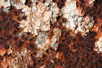 Grunge retro rusty metal texture or background
