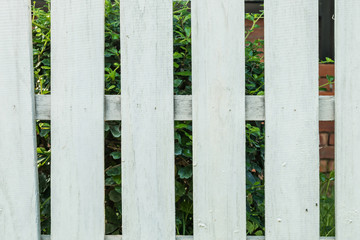 White fence in garden background