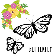 Butterfly design 