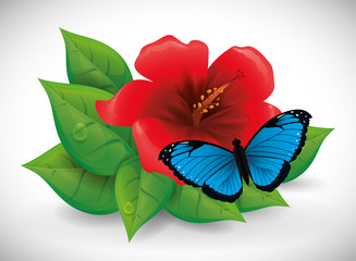 Butterfly design 