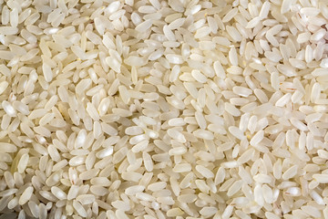 Pirinç