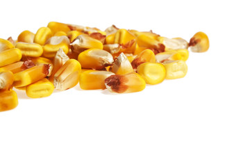 Heap of dried corn kernels, isolated on white background
