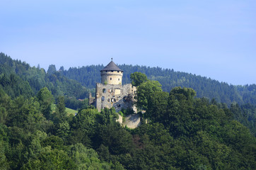 Fototapeta na wymiar Austria, Wildberg