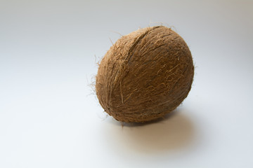 coconut