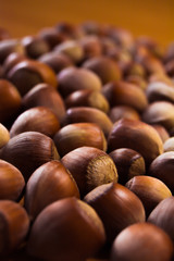 hazelnut