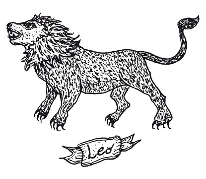 Hand drawn Leo horoscope sign with banner