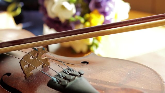 Panorama of the old violin.
