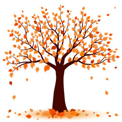 Fototapeta premium autumn tree