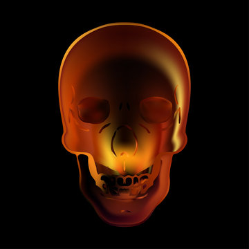Image illustration fire skull on black background
