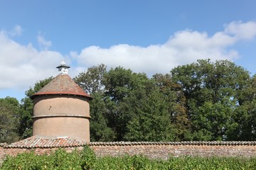 Old dovecote with vineyard in Beaujolais, France