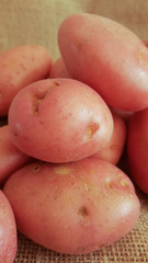 Close up of Desiree red potatoes