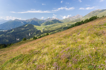 Fototapeta na wymiar Alpage, crêtes et vallée