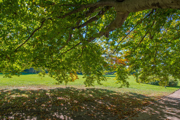 Freindschaftsinsel in Potsdam