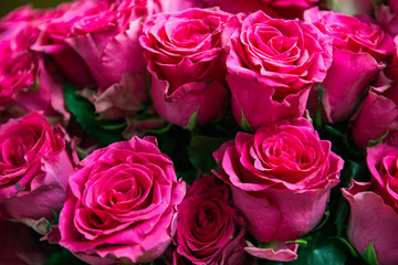 Roses