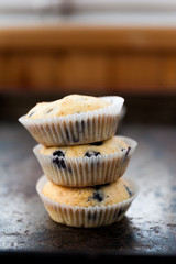 Blueberry muffins