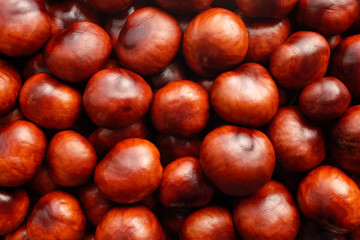 Rich brown autumn conkers background