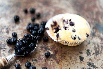 Blueberry muffins